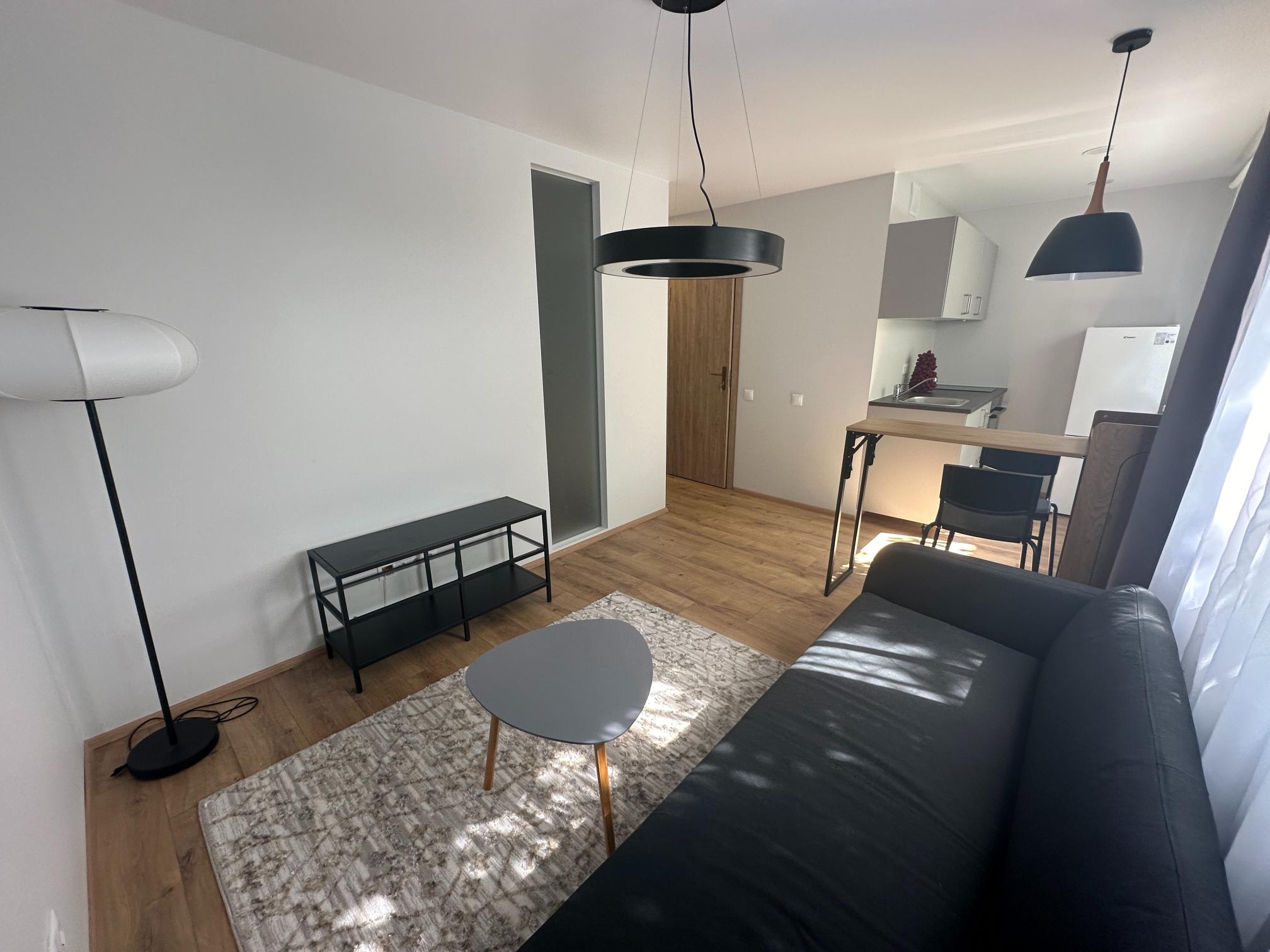 Avar ja minimalistlik stuudiokorteri elutuba koos musta diivani, põrandalambi ja väikese söögialaga.